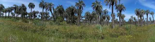 Buying a small farm in Rocha: your house, water, power and protected areas
