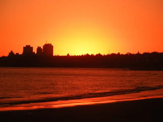 Vivir cerca del mar en Montevideo (2026): zonas y costos