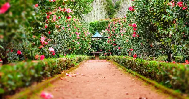 Vivir en Parque Rodó o La Blanqueada, Montevideo (2026)