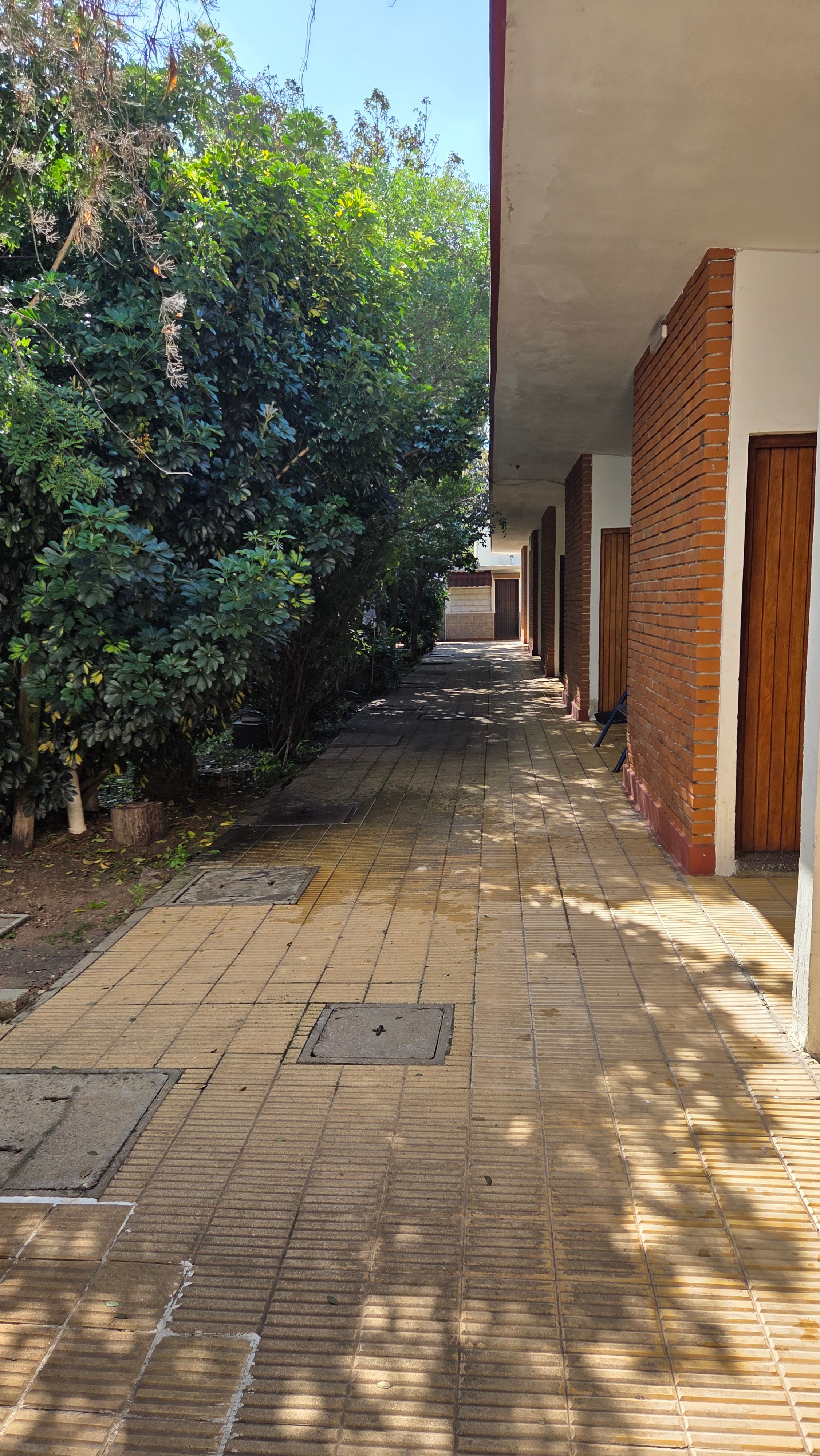 Apartamento en Planta baja 1 dormitorio con cochera