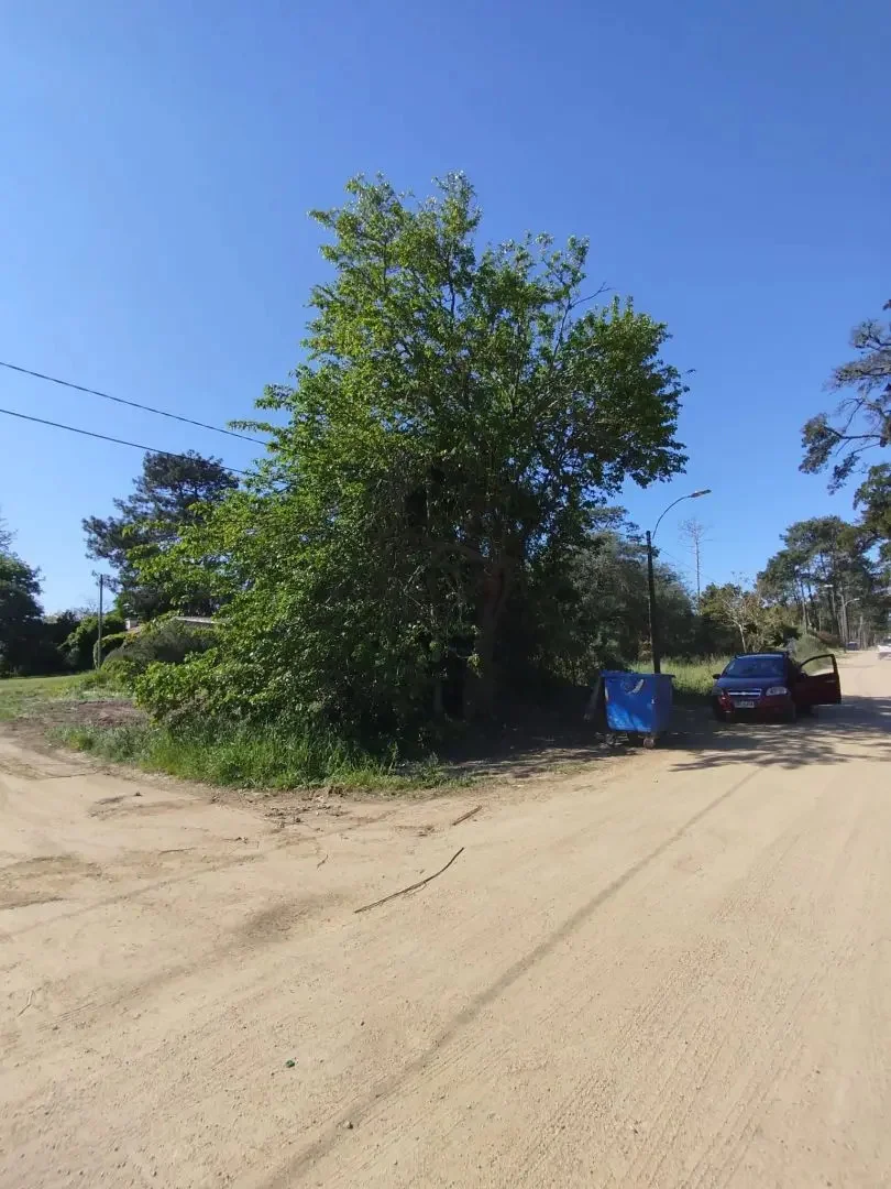 Venta Terreno En Atlántida  