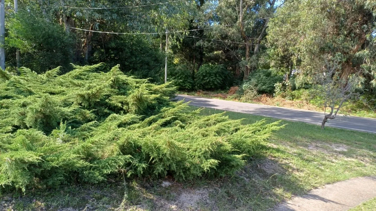 Casa En Venta La Floresta - Acepta banco