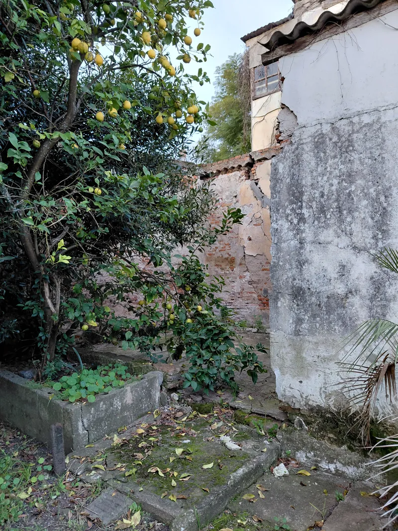 Venta casa 3 dormitorios, gran terreno - Canelones Ciudad