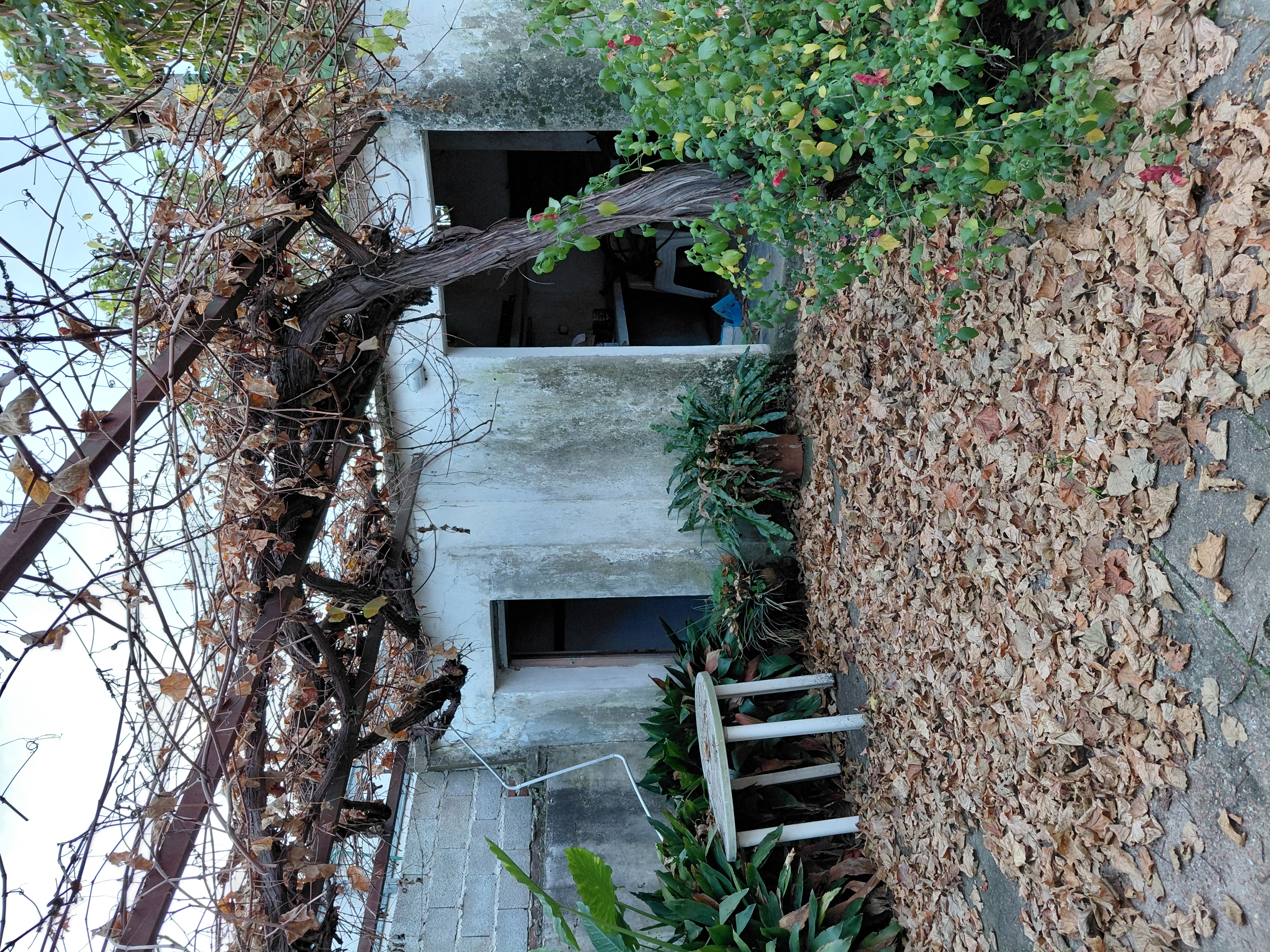 Venta casa 3 dormitorios, gran terreno - Canelones Ciudad