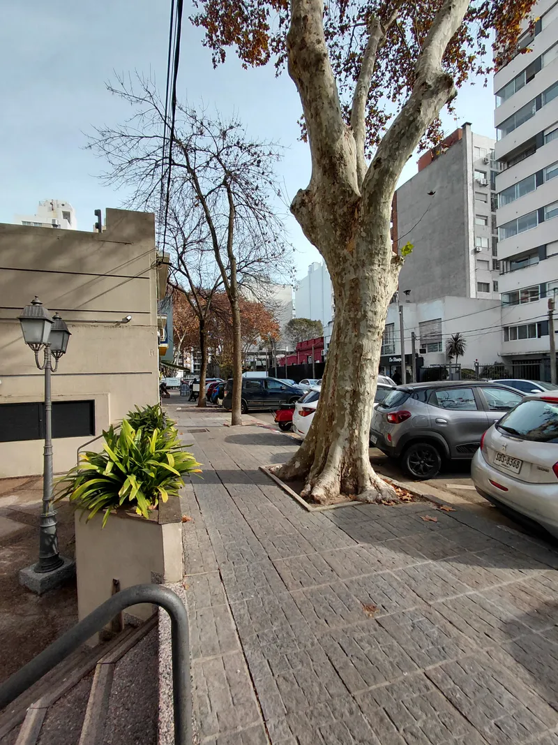 Alquiler o venta Local comercial en Punta Carretas