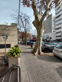 Alquiler o venta Local comercial en Punta Carretas - foto 6