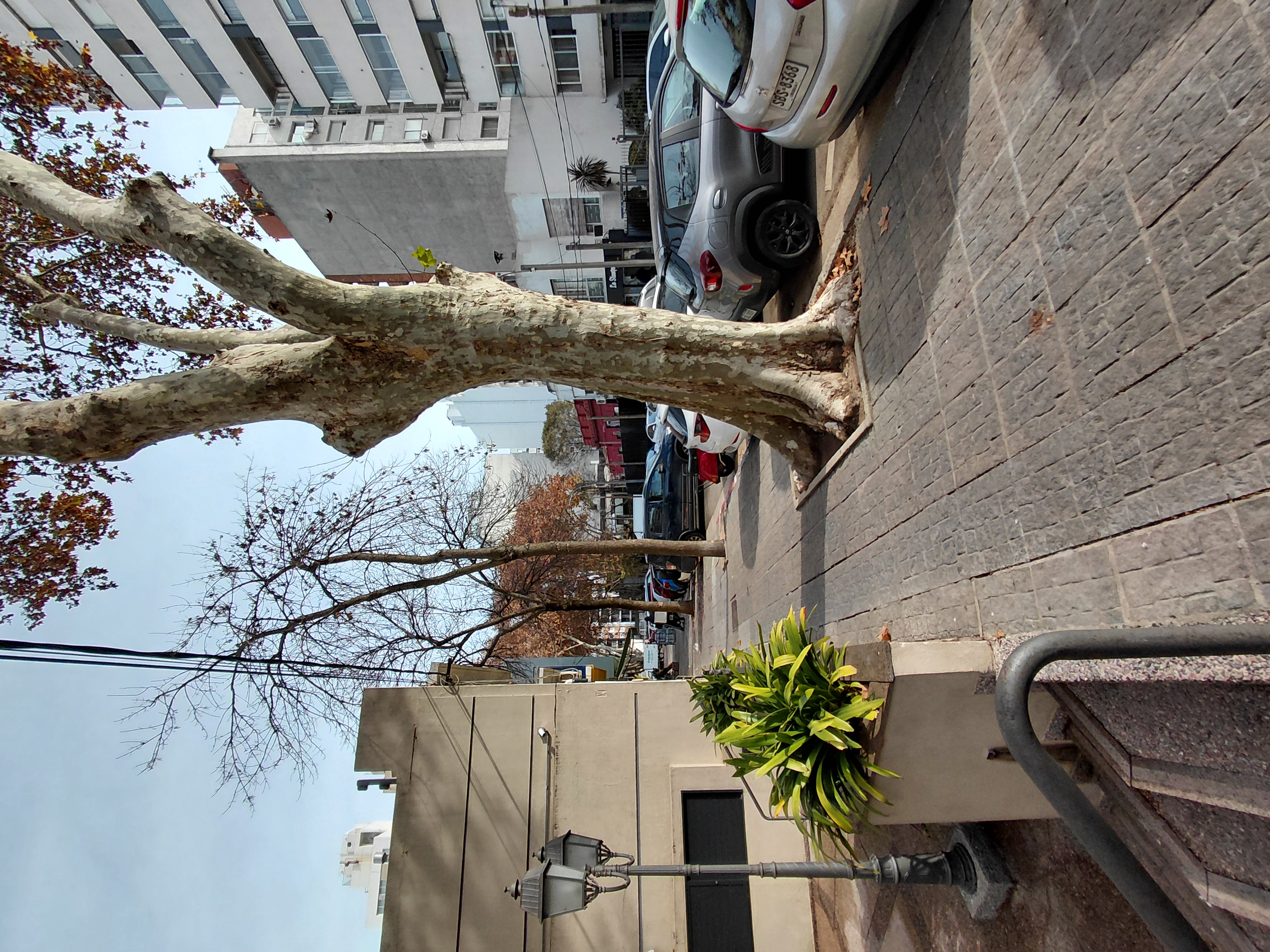 Alquiler o venta Local comercial en Punta Carretas