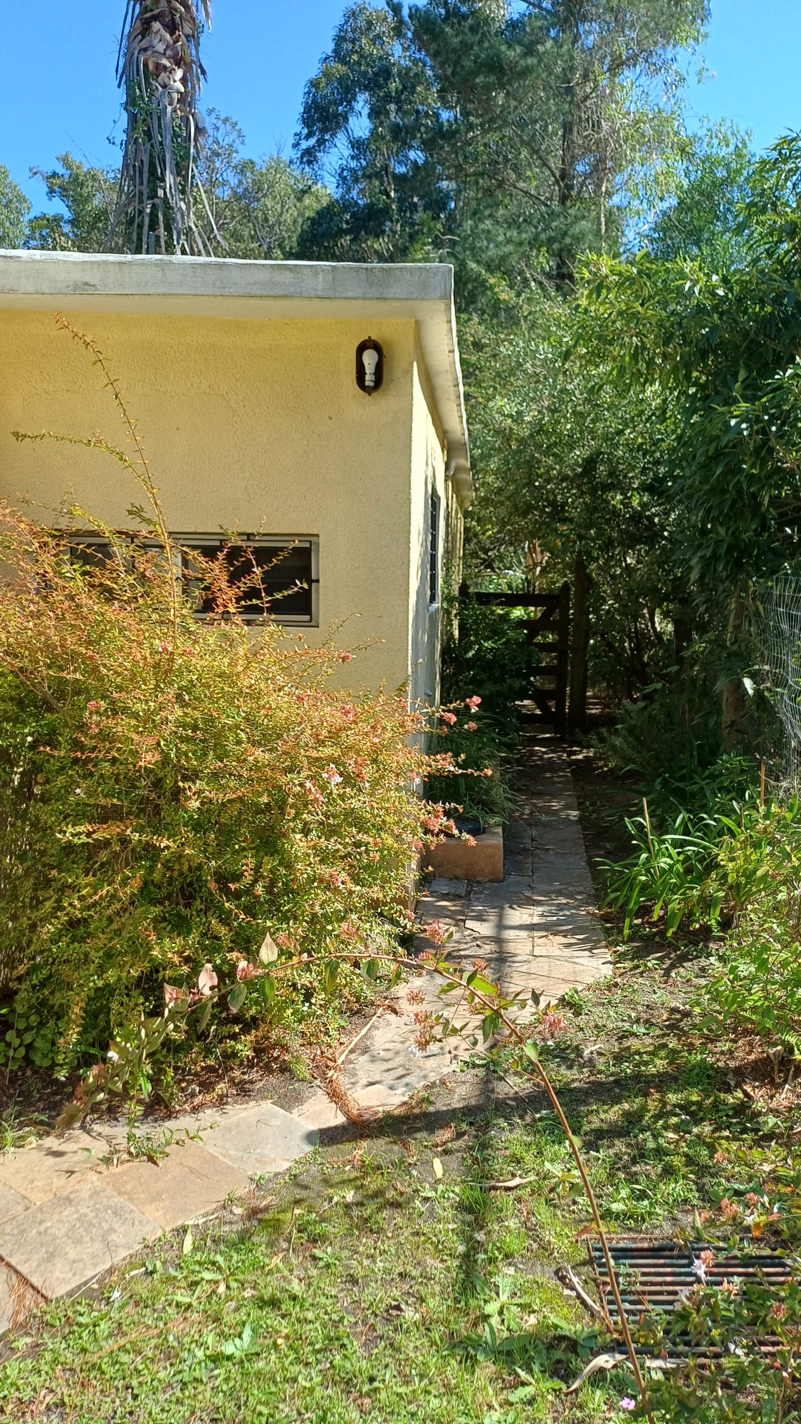 Casa en venta Araminda 3 dormitorios 