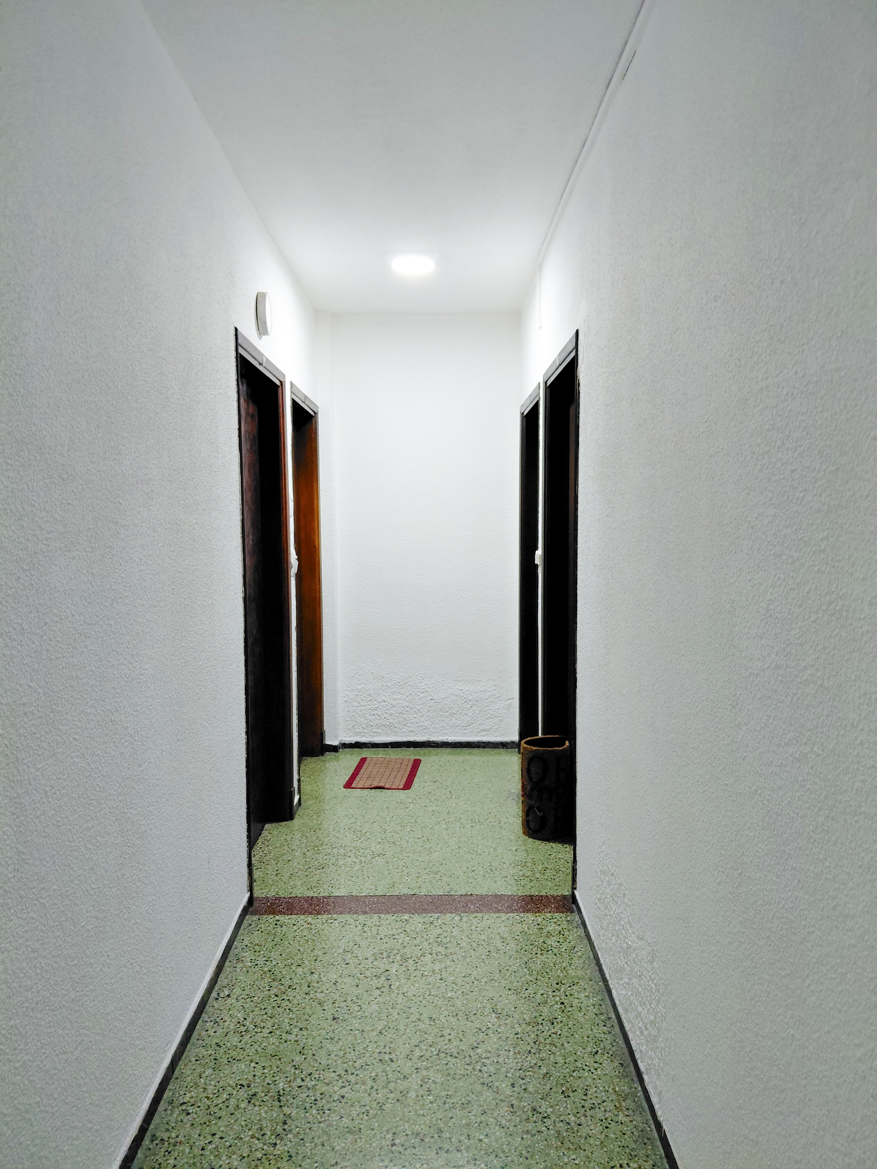 Apartamento alquiler 1 dormitorio, La blanqueada