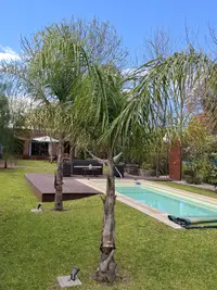 Аренда дома в Costa Azul с бассейном с подогревом и 2 спальнями - foto 21