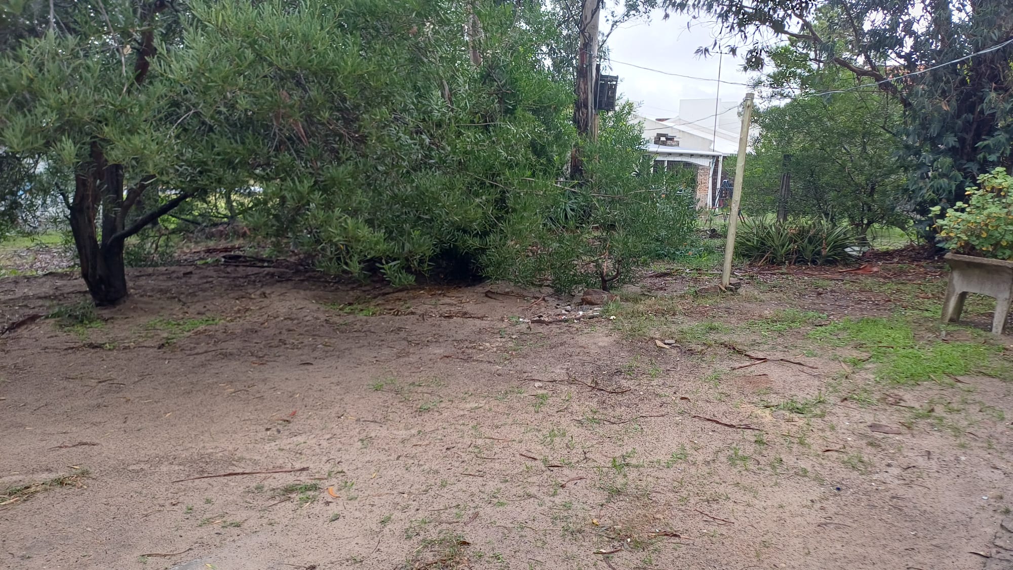 Alquiler Casa en La Floresta- Av Sarandí Solís