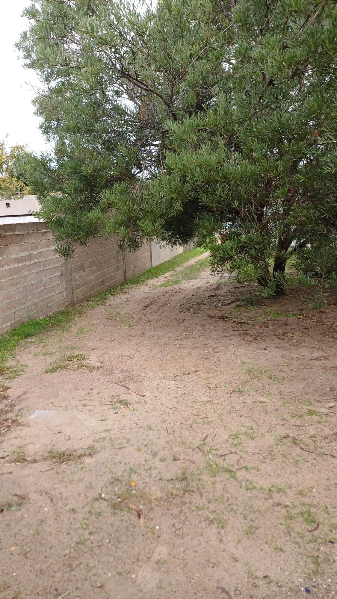 Alquiler Casa en La Floresta- Av Sarandí Solís