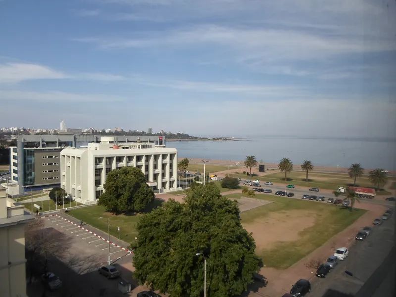Apartamento para Alugar, 1 Quarto, Palermo