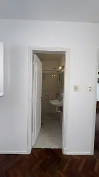 Apartamento Alquiler 1 Dormitorio, Pocitos - foto 13